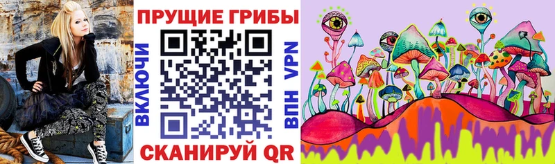 купить  сайты  Онега  Псилоцибиновые грибы MAGIC MUSHROOMS 